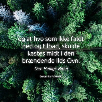 Picture 05 - Daniel 3:11 DA1871 - og at hvo som ikke faldt ned og tilbad, skulde - Bible Verse Picture