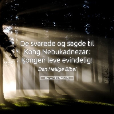 Picture 05 - Daniel 3:9 DA1871 - De svarede og sagde til Kong Nebukadnezar: Kongen - Bible Verse Picture