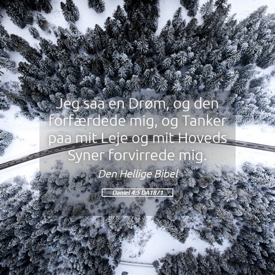 Picture 05 - Daniel 4:5 DA1871 - Jeg saa en Drøm, og den forfærdede mig, og - Bible Verse Picture