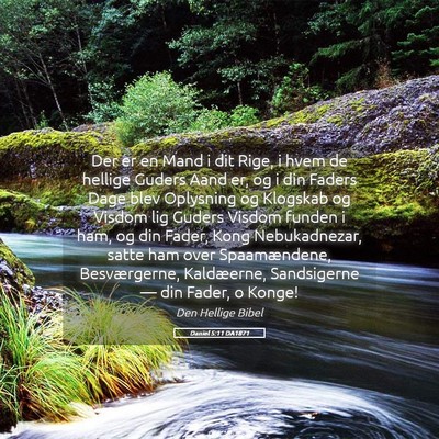Picture 05 - Daniel 5:11 DA1871 - Der er en Mand i dit Rige, i hvem de hellige - Bible Verse Picture