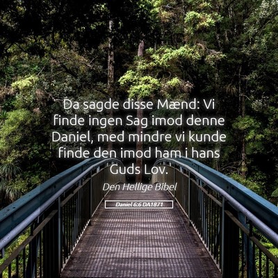 Picture 05 - Daniel 6:6 DA1871 - Da sagde disse Mænd: Vi finde ingen Sag imod - Bible Verse Picture