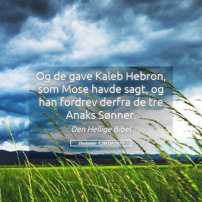 Picture 05 - Dommer 1:20 DA1871 - Og de gave Kaleb Hebron, som Mose havde sagt, og - Bible Verse Picture