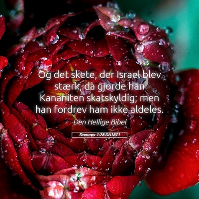 Picture 05 - Dommer 1:28 DA1871 - Og det skete, der Israel blev stærk, da gjorde - Bible Verse Picture