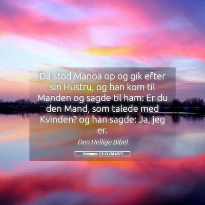Picture 05 - Dommer 13:11 DA1871 - Da stod Manoa op og gik efter sin Hustru, og han - Bible Verse Picture