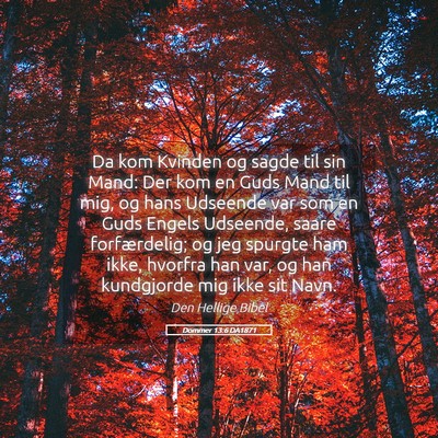 Picture 05 - Dommer 13:6 DA1871 - Da kom Kvinden og sagde til sin Mand: Der kom en - Bible Verse Picture