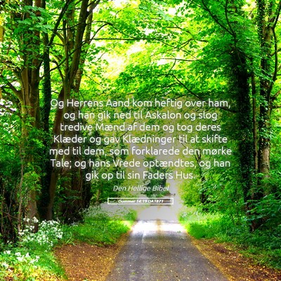 Picture 05 - Dommer 14:19 DA1871 - Og Herrens Aand kom heftig over ham, og han gik - Bible Verse Picture