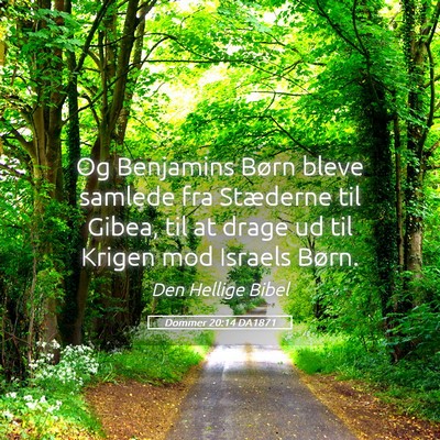 Picture 05 - Dommer 20:14 DA1871 - Og Benjamins Børn bleve samlede fra Stæderne - Bible Verse Picture