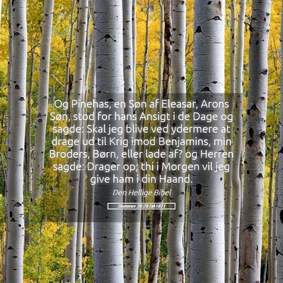 Picture 05 - Dommer 20:28 DA1871 - Og Pinehas, en Søn af Eleasar, Arons Søn, stod - Bible Verse Picture