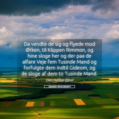 Picture 05 - Dommer 20:45 DA1871 - Da vendte de sig og flyede mod Ørken, til - Bible Verse Picture