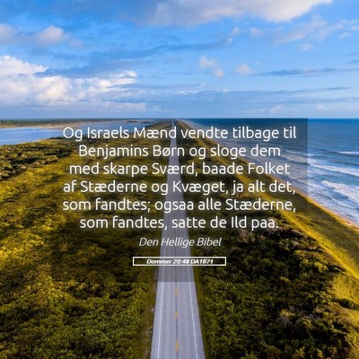 Picture 05 - Dommer 20:48 DA1871 - Og Israels Mænd vendte tilbage til Benjamins - Bible Verse Picture