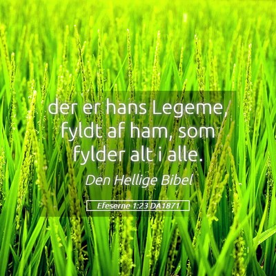 Picture 05 - Efeserne 1:23 DA1871 - der er hans Legeme, fyldt af ham, som fylder alt - Bible Verse Picture