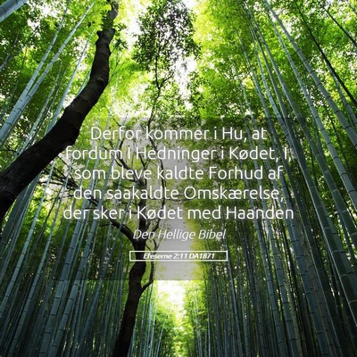 Picture 05 - Efeserne 2:11 DA1871 - Derfor kommer i Hu, at fordum I Hedninger i - Bible Verse Picture