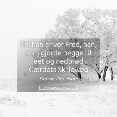 Picture 05 - Efeserne 2:14 DA1871 - Thi han er vor Fred, han, som gjorde begge til - Bible Verse Picture
