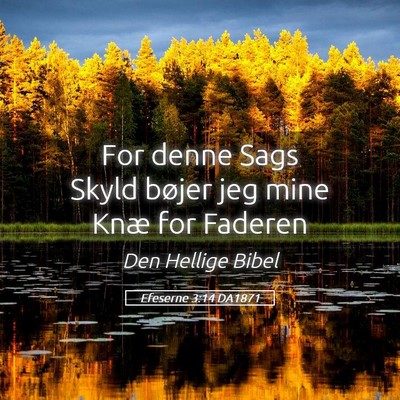 Picture 05 - Efeserne 3:14 DA1871 - For denne Sags Skyld bøjer jeg mine Knæ for - Bible Verse Picture