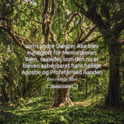Picture 05 - Efeserne 3:5 DA1871 - som i andre Slægter ikke blev kundgjort for - Bible Verse Picture