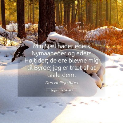 Picture 05 - Esajas 1:14 DA1871 - Min Sjæl hader eders Nymaaneder og eders - Bible Verse Picture