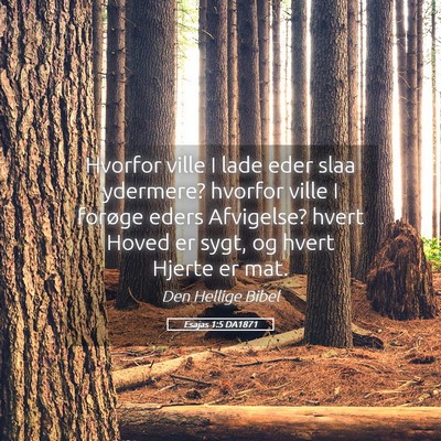 Picture 05 - Esajas 1:5 DA1871 - Hvorfor ville I lade eder slaa ydermere? hvorfor - Bible Verse Picture