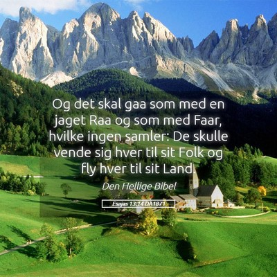 Picture 05 - Esajas 13:14 DA1871 - Og det skal gaa som med en jaget Raa og som med - Bible Verse Picture