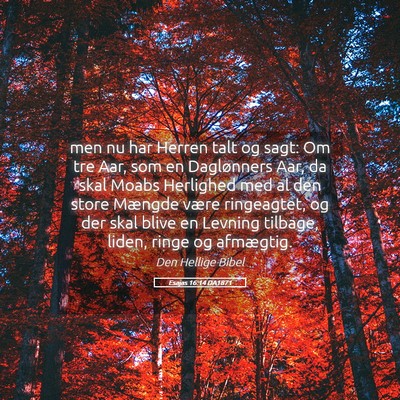 Picture 05 - Esajas 16:14 DA1871 - men nu har Herren talt og sagt: Om tre Aar, som - Bible Verse Picture