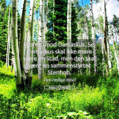 Picture 05 - Esajas 17:1 DA1871 - Profeti imod Damaskus. Se, Damaskus skal ikke - Bible Verse Picture