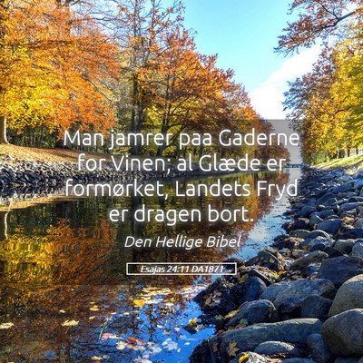 Picture 05 - Esajas 24:11 DA1871 - Man jamrer paa Gaderne for Vinen; al Glæde er - Bible Verse Picture