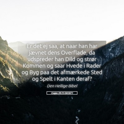 Picture 05 - Esajas 28:25 DA1871 - Er det ej saa, at naar han har jævnet dens - Bible Verse Picture