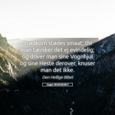 Picture 05 - Esajas 28:28 DA1871 - Brødkorn stødes smaat; thi man tærsker det ej - Bible Verse Picture