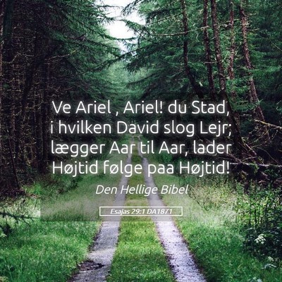 Picture 05 - Esajas 29:1 DA1871 - Ve Ariel , Ariel! du Stad, i hvilken David slog - Bible Verse Picture