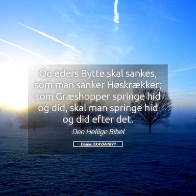 Picture 05 - Esajas 33:4 DA1871 - Og eders Bytte skal sankes, som man sanker - Bible Verse Picture