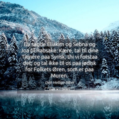 Picture 05 - Esajas 36:11 DA1871 - Da sagde Eliakim og Sebna og Joa til Rabsake: - Bible Verse Picture