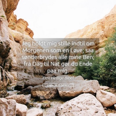 Picture 05 - Esajas 38:13 DA1871 - Jeg holdt mig stille indtil om Morgenen som en - Bible Verse Picture