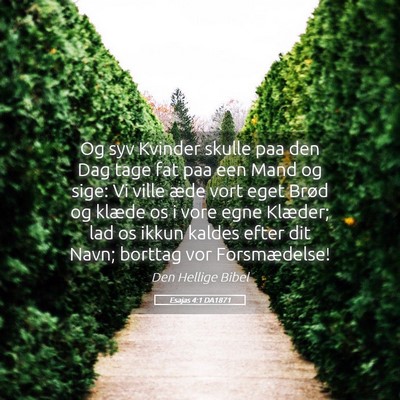 Picture 05 - Esajas 4:1 DA1871 - Og syv Kvinder skulle paa den Dag tage fat paa - Bible Verse Picture