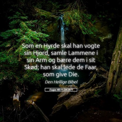 Picture 05 - Esajas 40:11 DA1871 - Som en Hyrde skal han vogte sin Hjord, samle - Bible Verse Picture