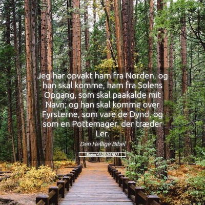 Picture 05 - Esajas 41:25 DA1871 - Jeg har opvakt ham fra Norden, og han skal komme, - Bible Verse Picture