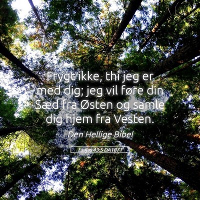 Picture 05 - Esajas 43:5 DA1871 - Frygt ikke, thi jeg er med dig; jeg vil føre din - Bible Verse Picture