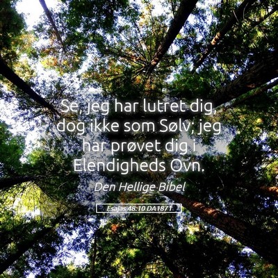 Picture 05 - Esajas 48:10 DA1871 - Se, jeg har lutret dig, dog ikke som Sølv; jeg - Bible Verse Picture