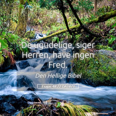 Picture 05 - Esajas 48:22 DA1871 - De ugudelige, siger Herren, have ingen - Bible Verse Picture