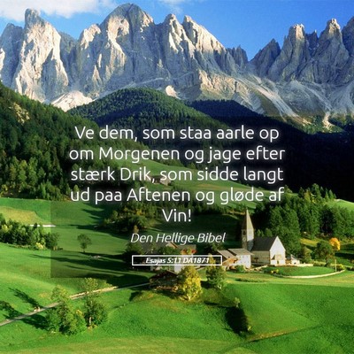 Picture 05 - Esajas 5:11 DA1871 - Ve dem, som staa aarle op om Morgenen og jage - Bible Verse Picture