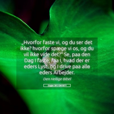 Picture 05 - Esajas 58:3 DA1871 - „Hvorfor faste vi, og du ser det ikke? hvorfor - Bible Verse Picture