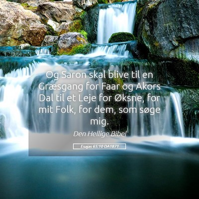 Picture 05 - Esajas 65:10 DA1871 - Og Saron skal blive til en Græsgang for Faar og - Bible Verse Picture