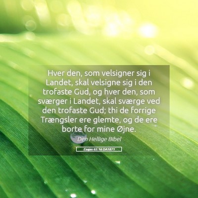Picture 05 - Esajas 65:16 DA1871 - Hver den, som velsigner sig i Landet, skal - Bible Verse Picture