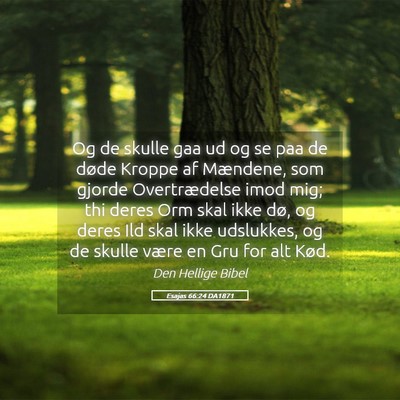 Picture 05 - Esajas 66:24 DA1871 - Og de skulle gaa ud og se paa de døde Kroppe af - Bible Verse Picture