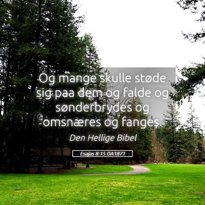 Picture 05 - Esajas 8:15 DA1871 - Og mange skulle støde sig paa dem og falde og - Bible Verse Picture