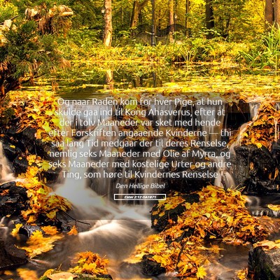 Picture 05 - Ester 2:12 DA1871 - Og naar Raden kom for hver Pige, at hun skulde - Bible Verse Picture