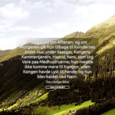 Picture 05 - Ester 2:14 DA1871 - Hun gik ind om Aftenen, og om Morgenen gik hun - Bible Verse Picture