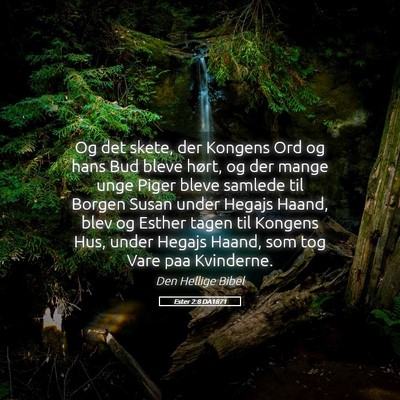 Picture 05 - Ester 2:8 DA1871 - Og det skete, der Kongens Ord og hans Bud bleve - Bible Verse Picture