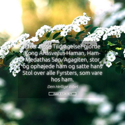 Picture 05 - Ester 3:1 DA1871 - Efter disse Tildragelser gjorde Kong Ahasverus - Bible Verse Picture