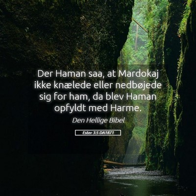 Picture 05 - Ester 3:5 DA1871 - Der Haman saa, at Mardokaj ikke knælede eller - Bible Verse Picture