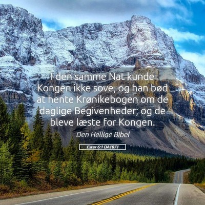 Picture 05 - Ester 6:1 DA1871 - I den samme Nat kunde Kongen ikke sove, og han - Bible Verse Picture