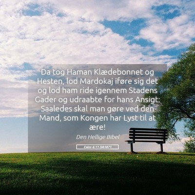 Picture 05 - Ester 6:11 DA1871 - Da tog Haman Klædebonnet og Hesten, lod Mardokaj - Bible Verse Picture